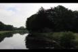 IMG 8958