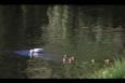 IMG 5367