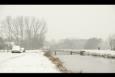 IMG 7119