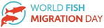 Vismigratiedag - stap in de wereld van de vis!